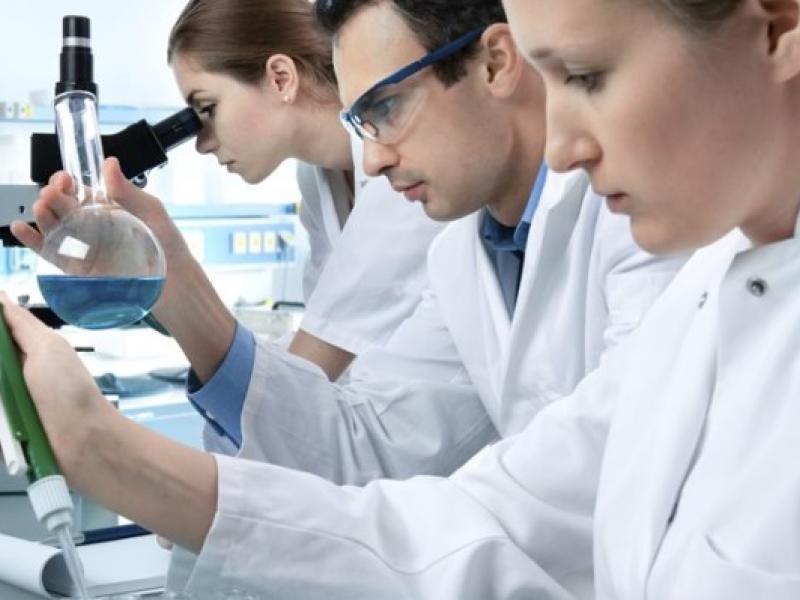 Επίδομα 800 ευρώ στους επιστήμονες ζητούν τέσσερις επαγγελματικοί φορείς επιστημονικών κλάδων