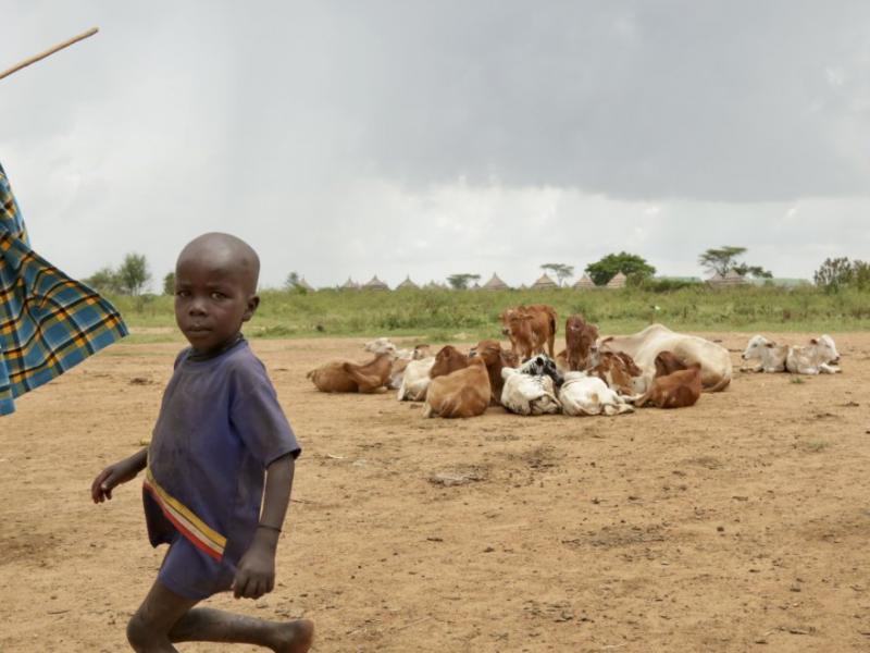 Πανδημία... λιμού απειλεί τη Δυτική Αφρική - Κινδυνεύουν 50 εκατ. άνθρωποι