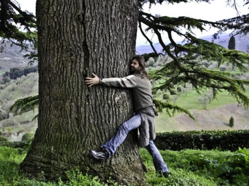 Ισλανδία: Αν νιώθετε μόνοι, αγκαλιάστε ένα δέντρο