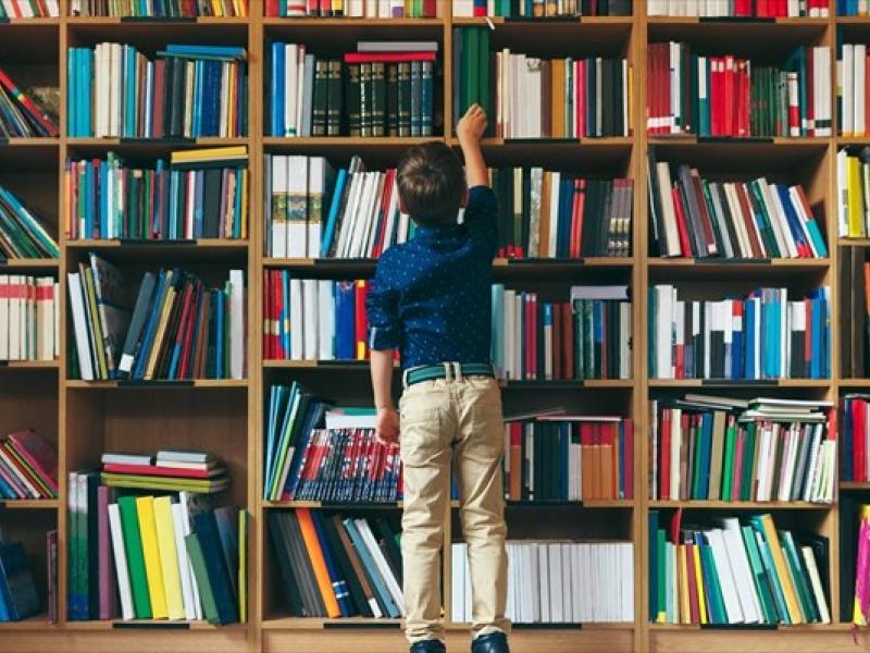 Πρωτοβάθμια Εκπαίδευση: Νέες αιτήσεις σχολείων για ένταξη στο Δίκτυο Σχολικών Βιβλιοθηκών