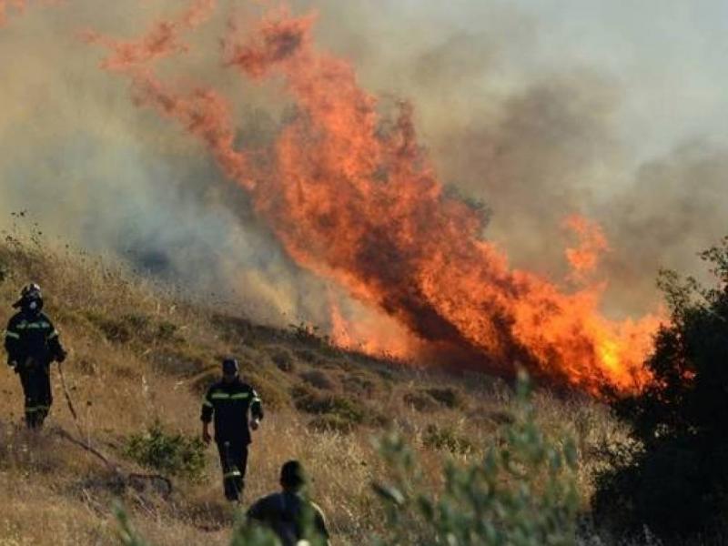 Σε εξέλιξη πυρκαγιά στα Αθίκια Κορινθίας