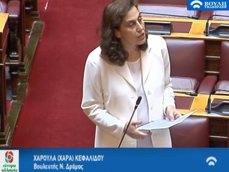Χαρά Κεφαλίδου: «Αιφνιδιασμός και αλαζονεία αντί θεσμικά ορθής και μεθοδικής προετοιμασίας σκιάζουν την εθνική προσπάθεια στην Παιδεία»