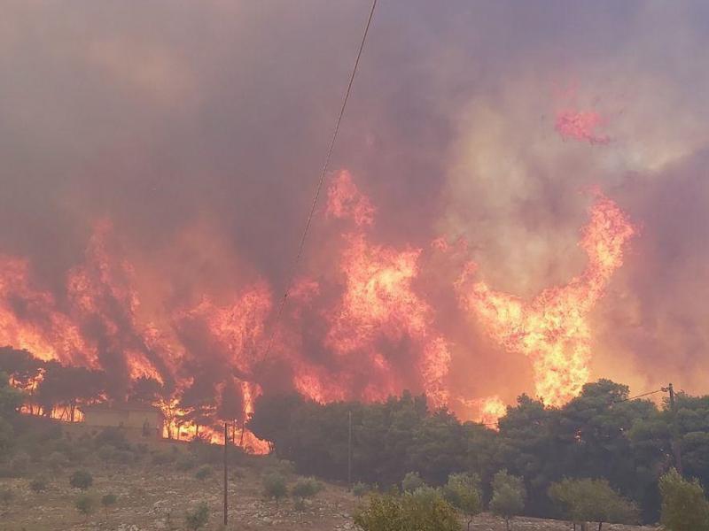 Τεράστια πυρκαγιά στη Ζάκυνθο: Ισχυρές δυνάμεις επιχειρούν στην περιοχή