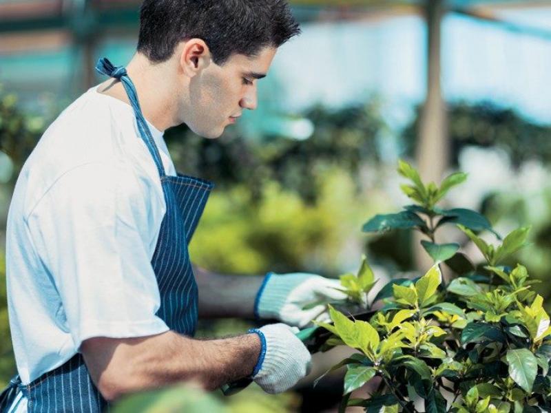 Προκήρυξη για την πρόσληψη Γεωπόνων στην Περιφέρεια Αττικής