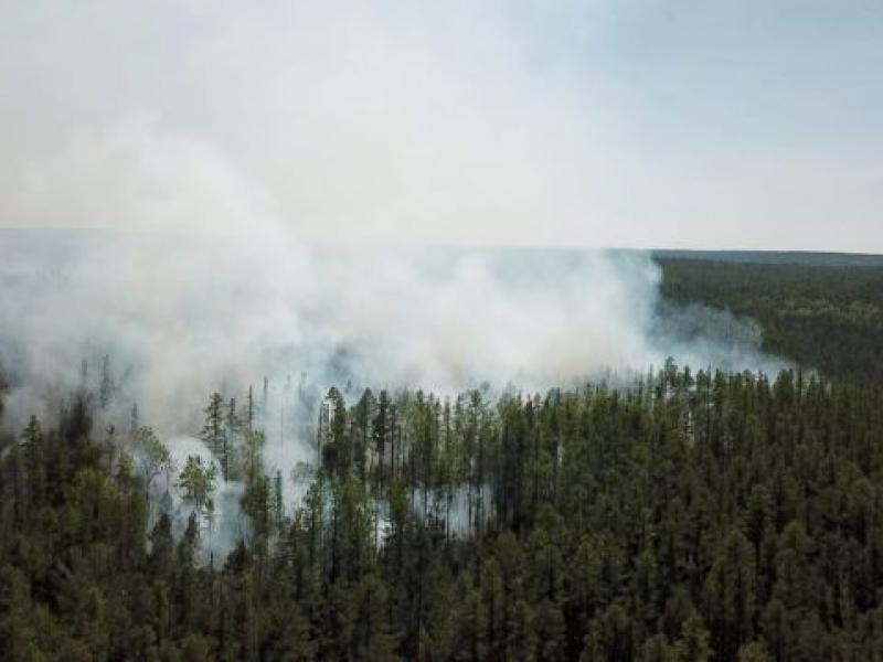 Ρωσία: Πυροσβεστικές δυνάμεις σπέρνουν νέφη για να σβήσουν τις πυρκαγιές στη Σιβηρία