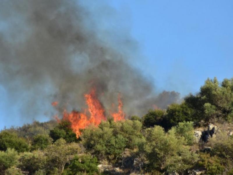 Μεγάλη πυρκαγιά στην Άνδρο