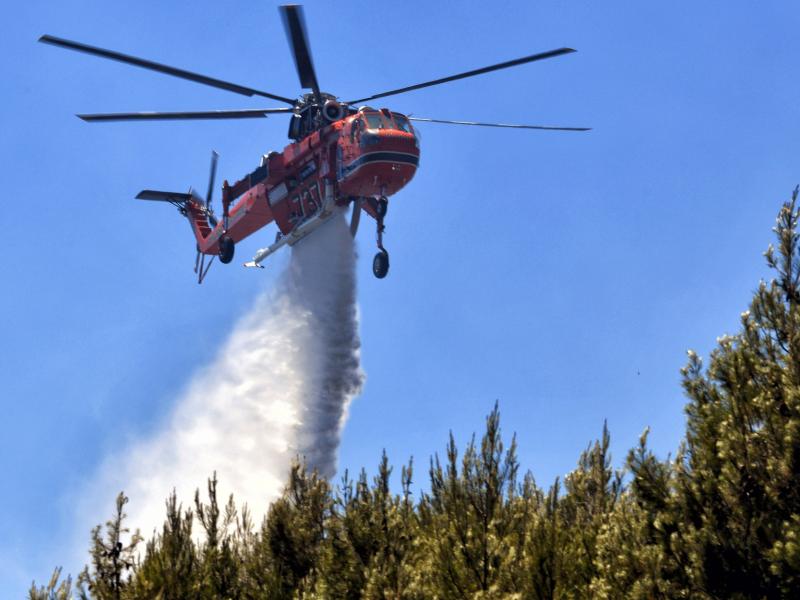 Σε εξέλιξη βρίσκεται πυρκαγιά στην Φυλή κοντά στο γήπεδο του Θρασύβουλου