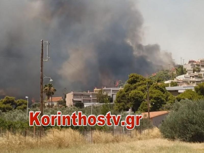 fotia kexries