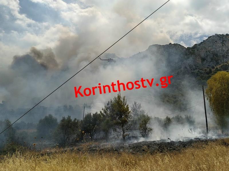 fotia korinthos