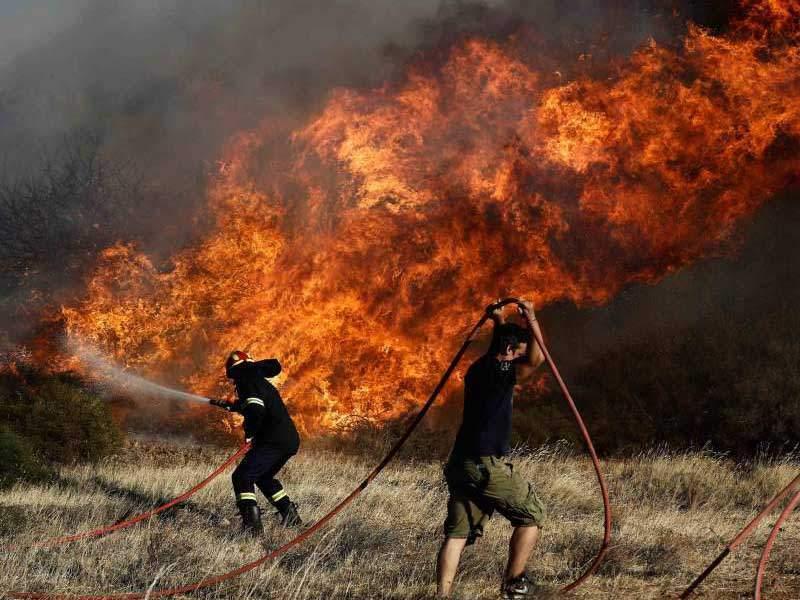 Πυρκαγιά σε δασική έκταση στην Αγία Ειρήνη στην Κεφαλονιά