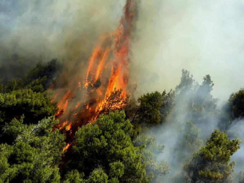Δασική πυρκαγιά στο Λαύριο - Με ελικόπτερα και αεροσκάφη η επιχείρηση κατάσβεσης