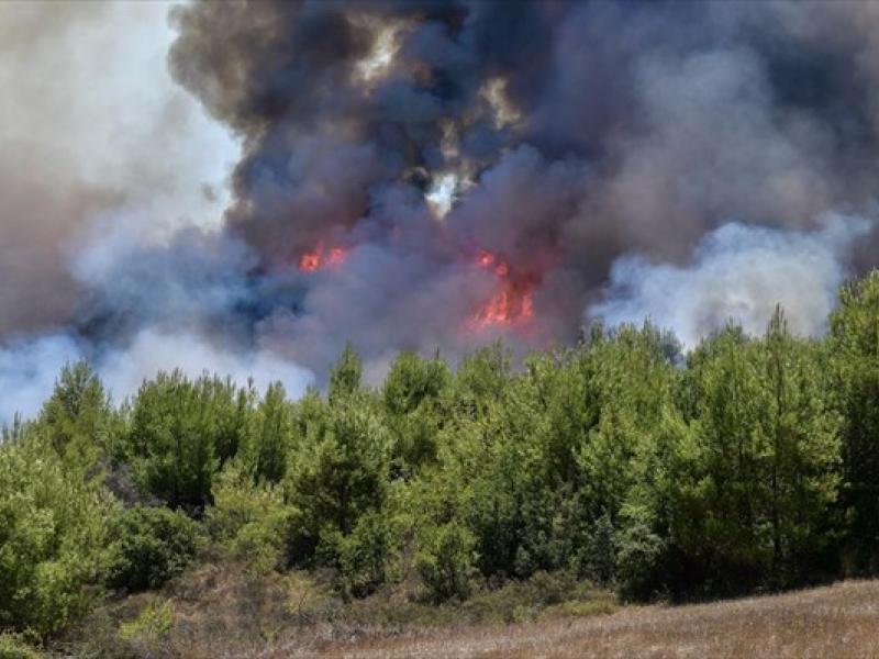 Πυρκαγιά σε δασική έκταση στην περιοχή Βροχίτσα του Πύργου