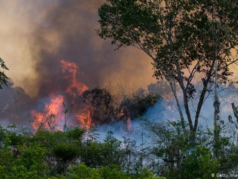 Αμαζόνιος πυρκαγιές Βραζιλία