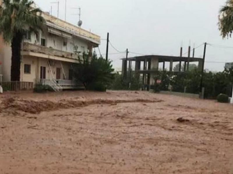 Πτώμα άνδρα ξεβράστηκε στον Κάλαμο. Εξετάζεται η εκδοχή να είναι ο αγνοούμενος από την Εύβοια