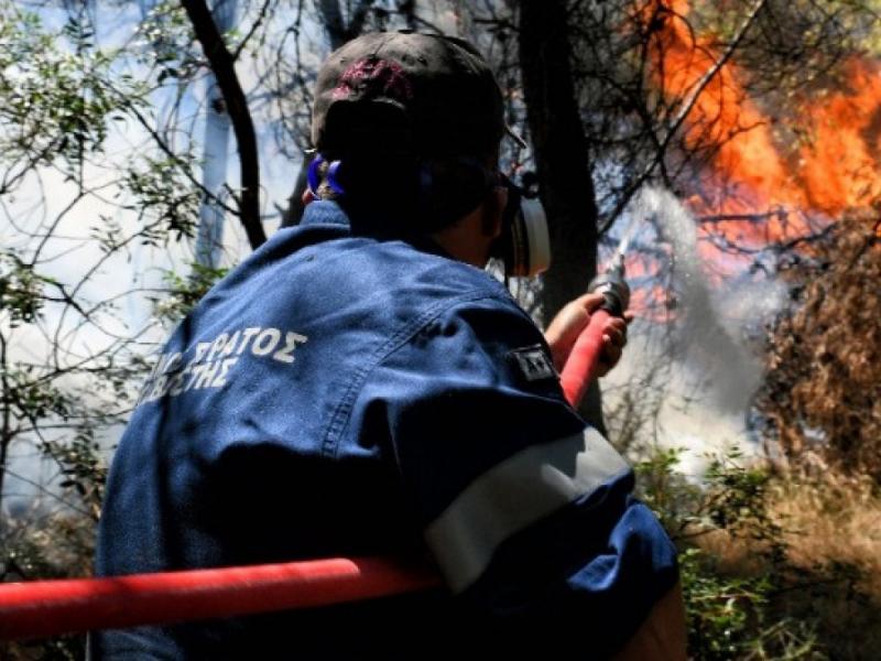 Καλαμάτα: Πυρκαγιά σε δασική έκταση στην περιοχή Πέντε Αλώνια