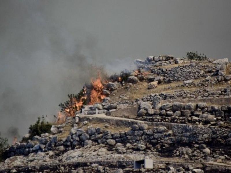 Μυκήνες: Η φωτιά πέρασε στον αρχαιολογικό χώρο | Alfavita