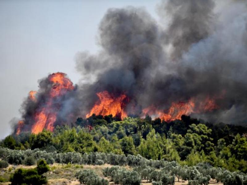 Σαράντα οκτώ δασικές πυρκαγιές εκδηλώθηκαν το τελευταίο 24ωρο