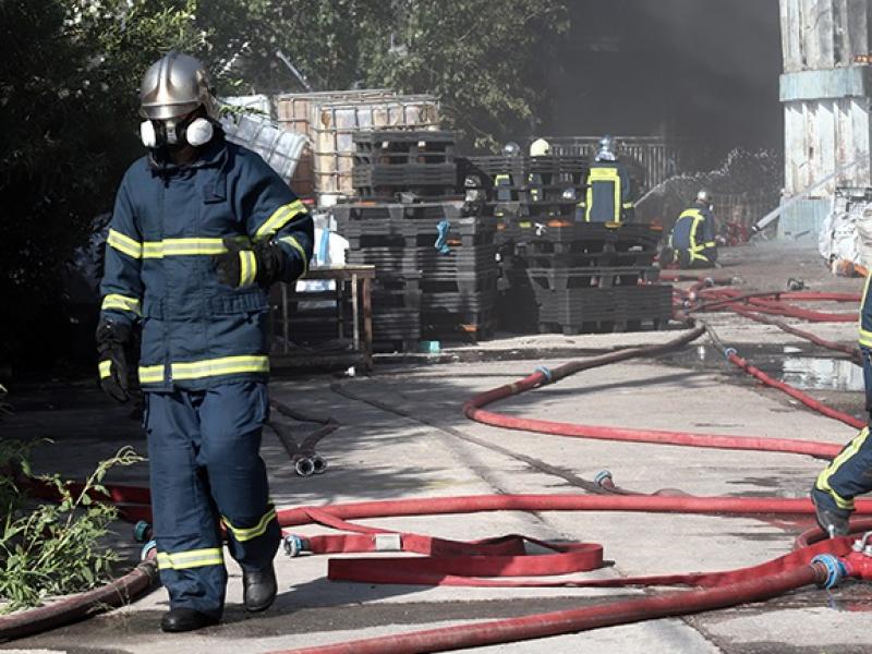 Θάσος: Άμεση κατάσβεση πυρκαγιάς στην περιοχή Δεξαμενή Ποταμιάς