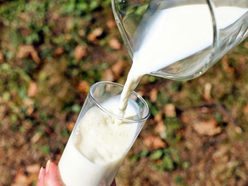 Ποιο γάλα είναι πιο θρεπτικό, το φυτικό ή το αγελαδινό;