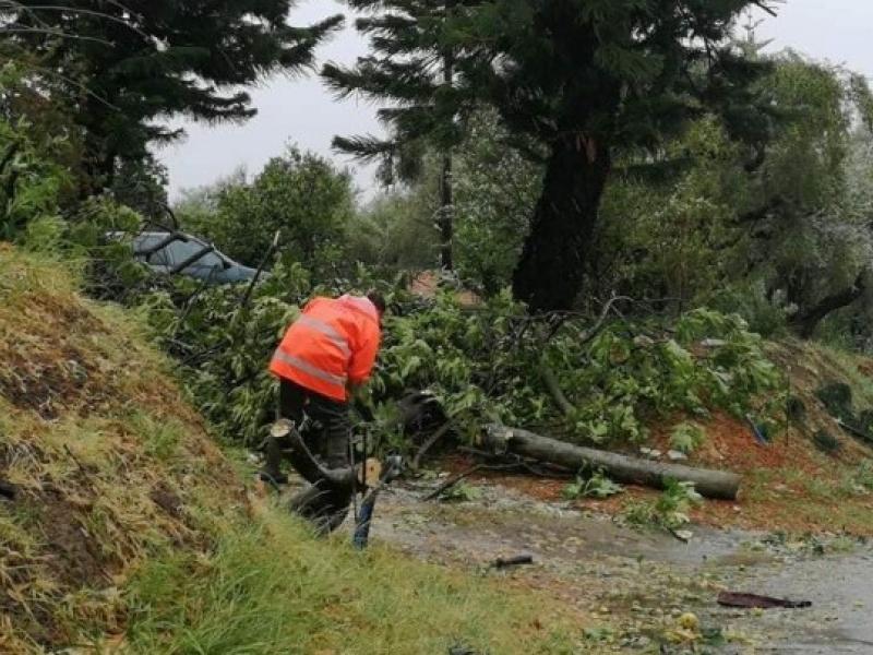 Κόπηκε η συγκοινωνία από Λαμία προς Καρπενήσι - Ξεχασμένοι χείμαρροι έγιναν ποτάμια