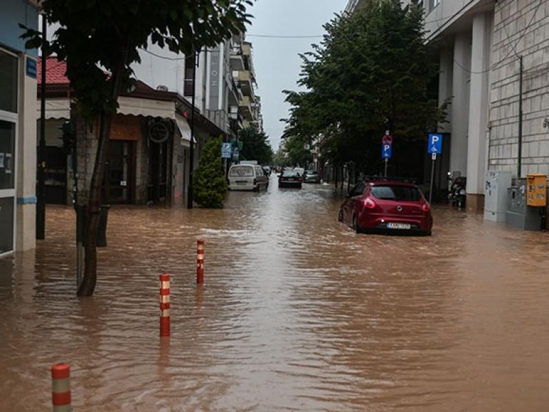 karditsa