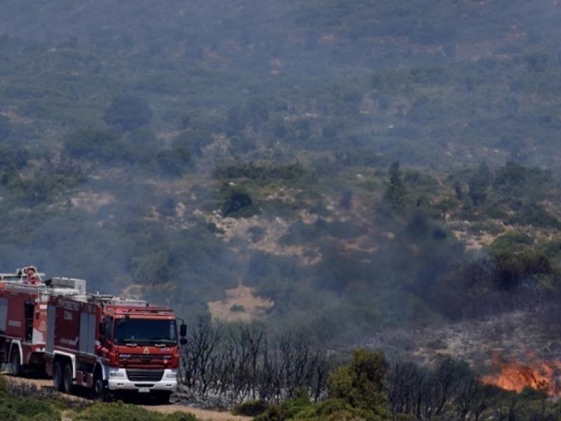 Πύργος: Υπό μερικό έλεγχο η φωτιά στην περιοχή Κολοκυθάς στην Ηλεία