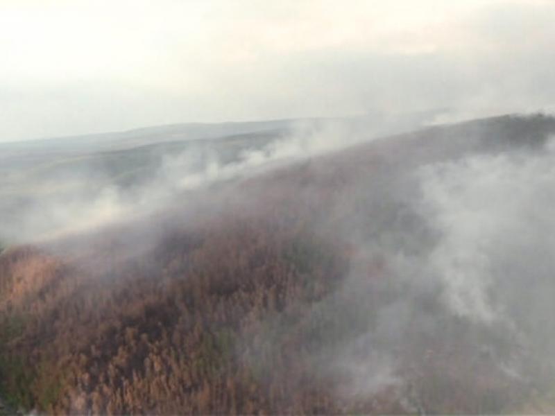 Ρωσία: Ποσοστό ρεκόρ διοξειδίου του άνθρακα από τις πυρκαγιές στη Σιβηρία