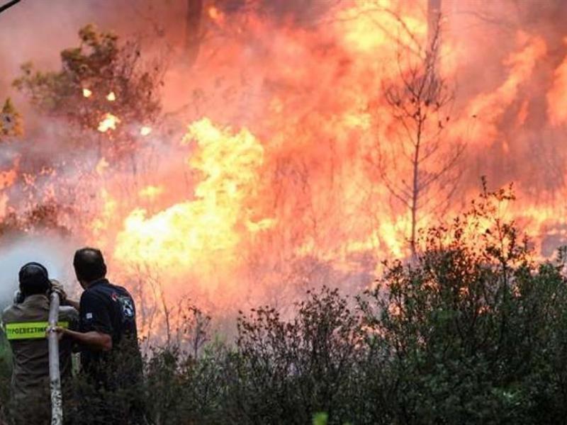 Κύπρος: Υπό πύρινη απειλή το Δάσος Πάφου