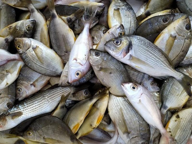 Κάποιοι δεν μυρίζουν καθόλου την... ψαρίλα λόγω σπάνιας γονιδιακής μετάλλαξης