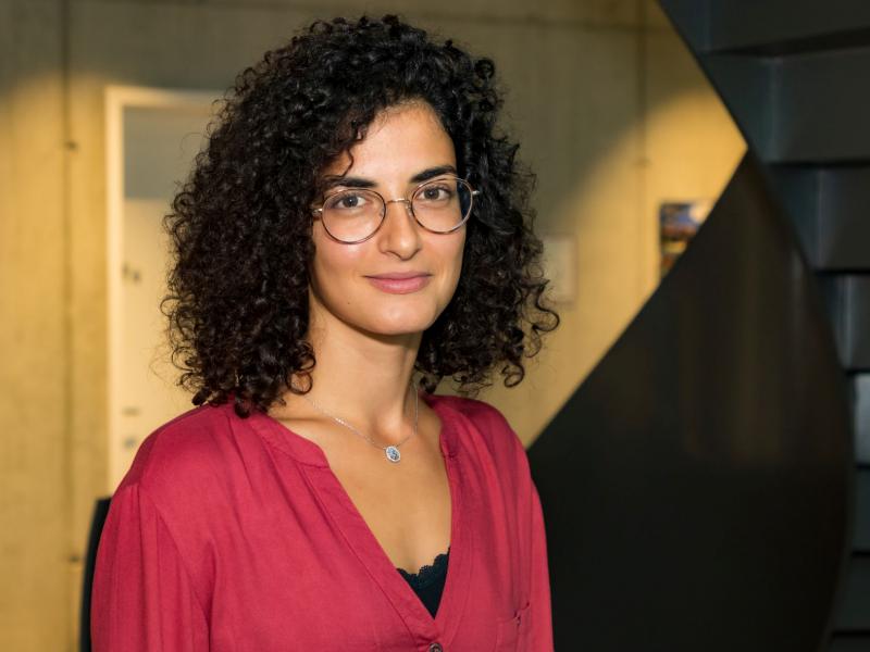 annita louloupi