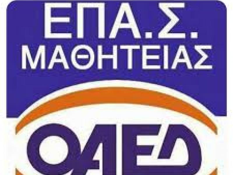 Επαγγελματική εκπαίδευση: Υποβάθμιση των ΕΠΑΣ του ΟΑΕΔ βλέπουν οι συμβασιούχοι εκπαιδευτικοί 