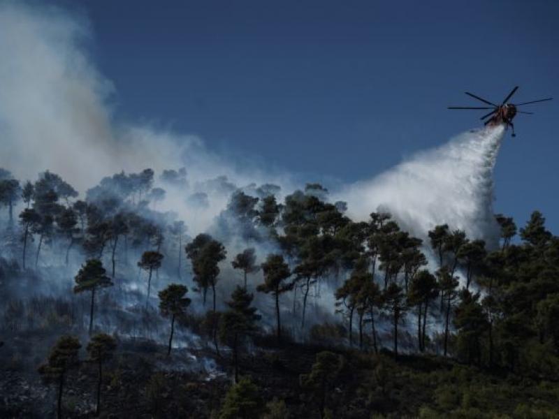 Σε εξέλιξη βρίσκεται πυρκαγιά στη Κάρυστο