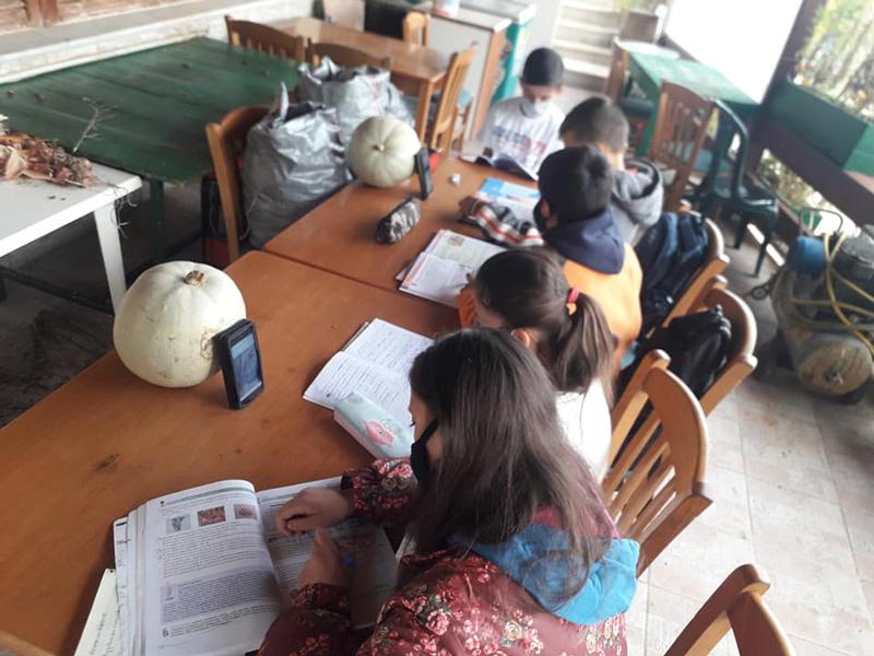 Τηλεκπαίδευση στο καφενείο: Στη Βουλή φέρνει το θέμα η Φ.Μπακαδήμα - Ζητάει ιντερνέτ για όλους τους μαθητές