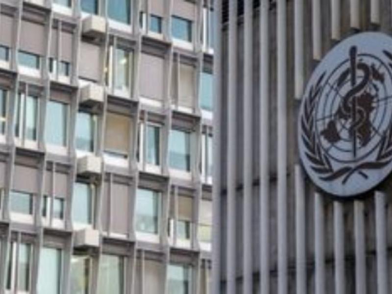 Συναγερμός στον ΠΟΥ: Ανησυχία για πανδημία Ψιττάκωσης - Νεκροί στην Ευρώπη