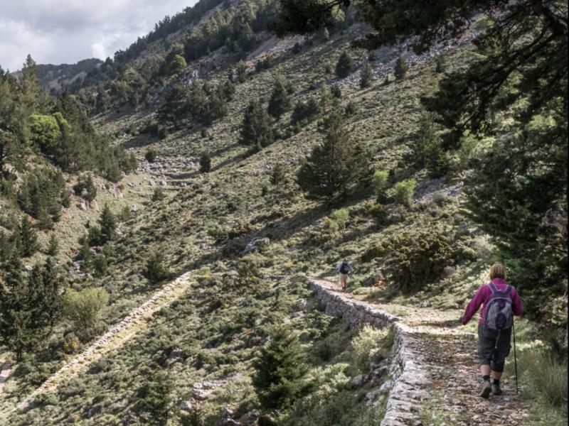 Χανιά: Χαράζονται μονοπάτια μήκους 100 χιλιομέτρων στον Πλατανιά