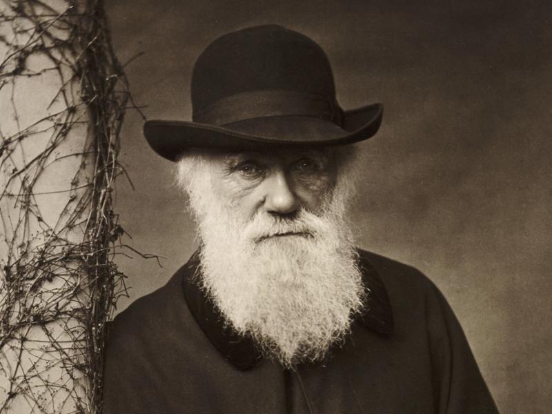 Κάρολος Δαρβίνος: Γεννήθηκε σαν σήμερα πριν 212 χρόνια