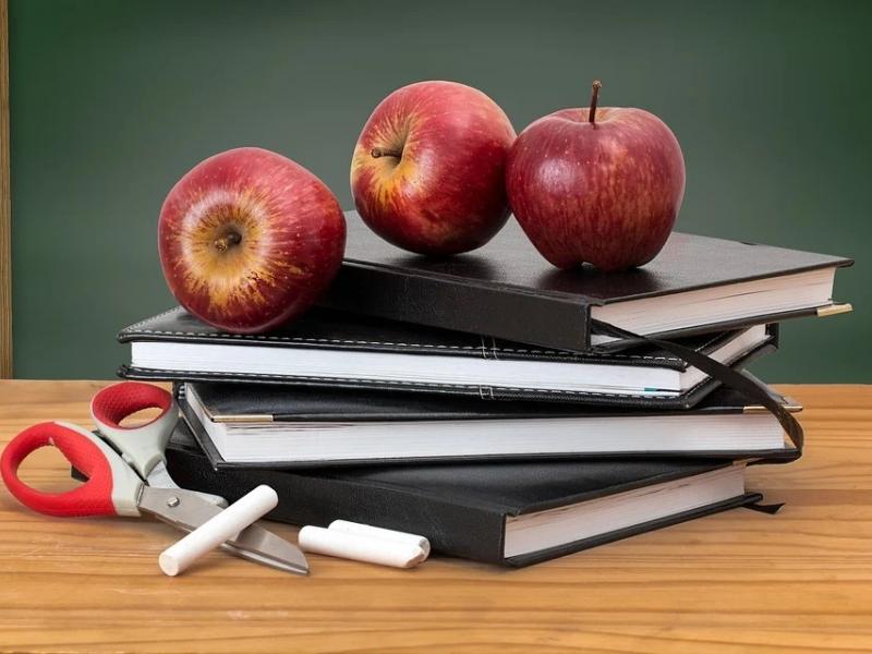 Μετατάξεις: Τα οργανικά κενά εκπαιδευτικών πρωτοβάθμιας και δευτεροβάθμιας