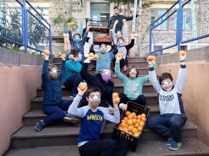 Μαθητές καλλιέργησαν πορτοκάλια στο Δημοτικό σχολείο Λουτρόπολης Θέρμης