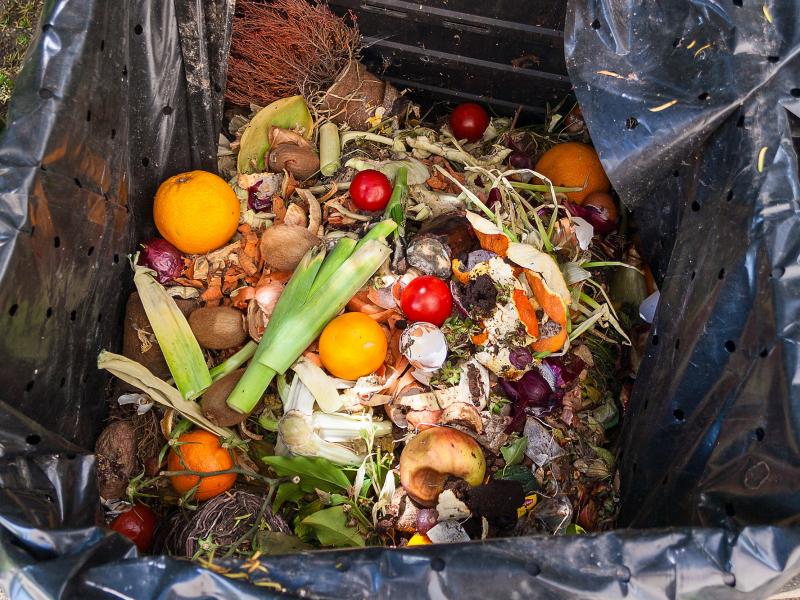 Το 17% του φαγητού στη Γη πετιέται στα σκουπίδια χωρίς να καταναλωθεί