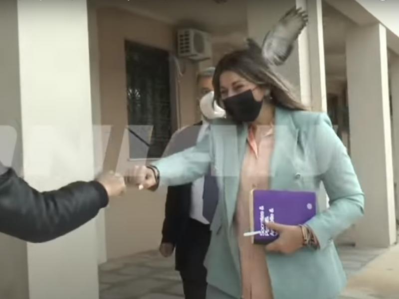 Σοφία Ζαχαράκη: Δέχθηκε επίθεση από… περιστέρι (Video)