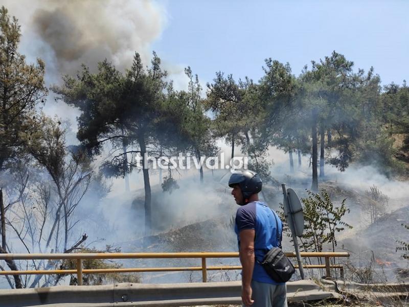 Σέιχ Σου: Ισχυρές πυροσβεστικές δυνάμεις στο σημείο για την κατάσβεση φωτιάς