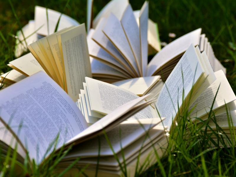Πώς βγήκε η φράση «άρτζι μπούρτζι και λουλάς»