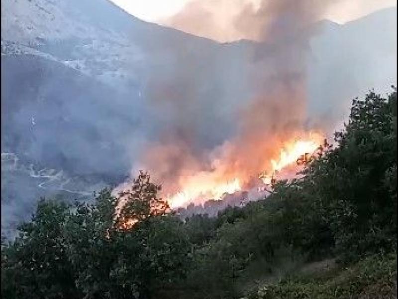 Κεφαλονιά