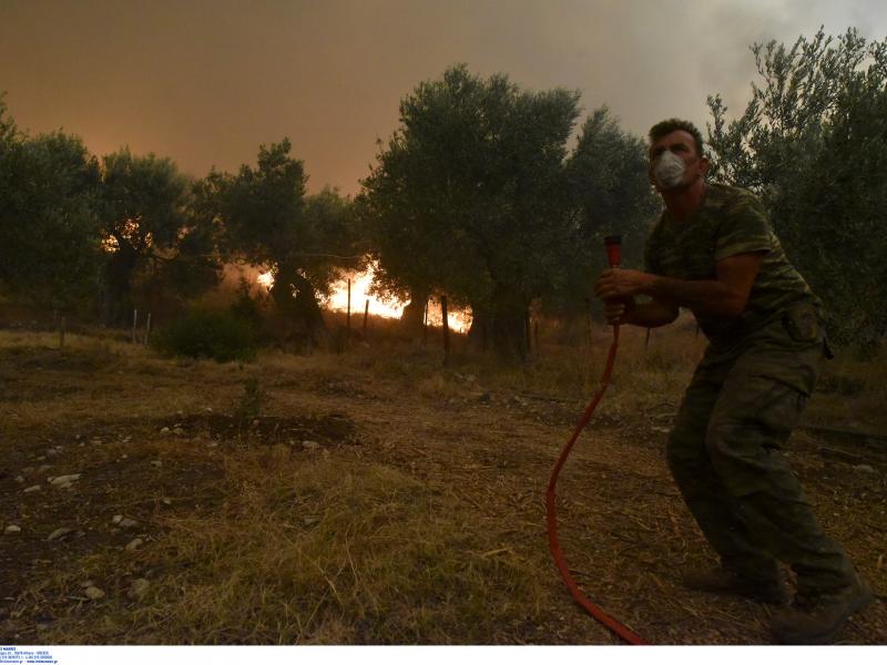 Ανεξέλεγκτη η φωτιά στην Εύβοια:Εκκλήσεις για εναέρια και επίγεια μέσα