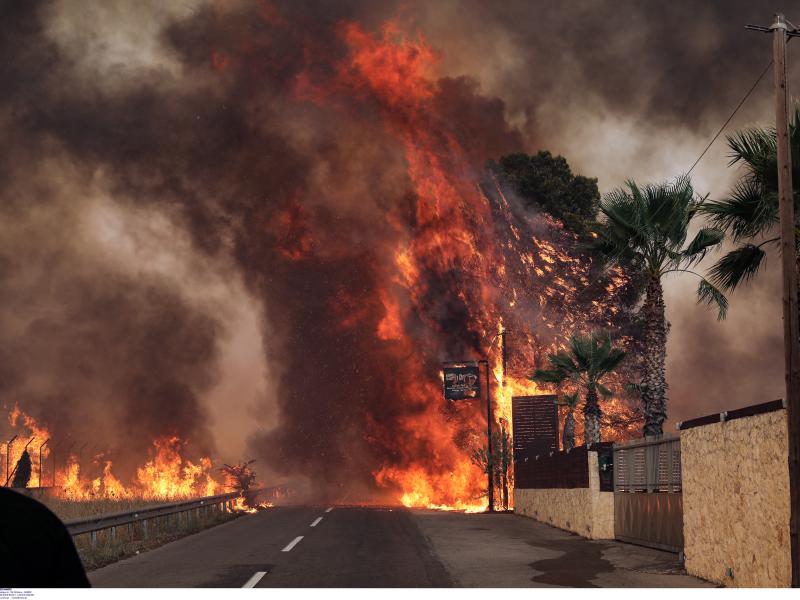 Φωτιά: Σε Τατόι οι φλόγες - Εκκένωση του Ολυμπιακού χωριού 