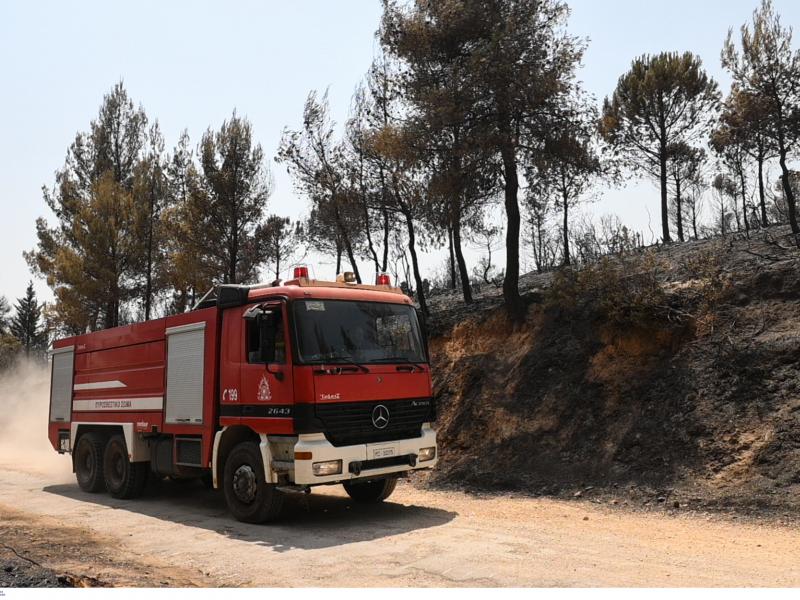 Φωτιά στην Αρχαία Ολυμπία: Καίγονται σπίτια στις Πεύκες - Φόβοι για εγκλωβισμένους