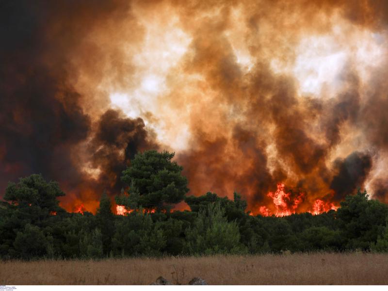 Φωτιά στην Εύβοια: Τεράστια αναζωπύρωση - Ανεξέλεγκτα τα πύρινα μέτωπα