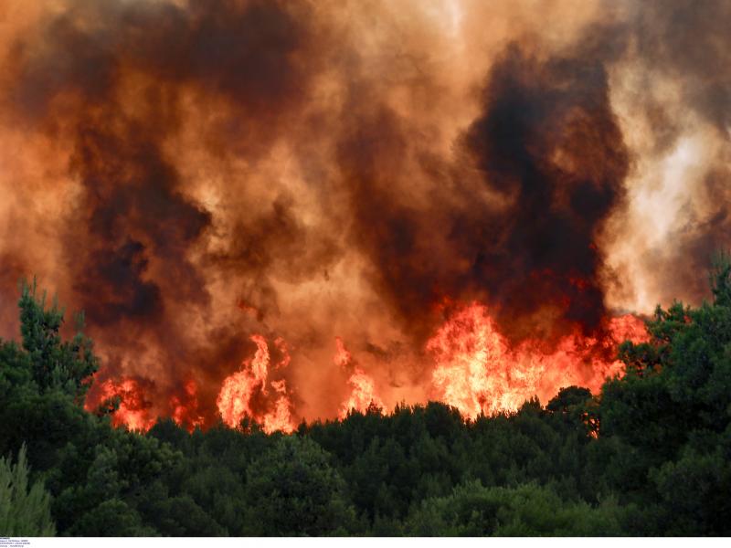 Στο έλεος της φωτιάς η χώρα: Καίγονται σπίτια - Συνεχείς εκκενώσεις σε Αττική, Εύβοια, Ηλεία, Μεσσηνία