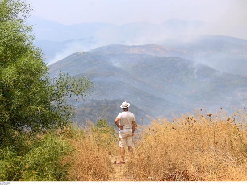 Πυρόπληκτοι: Καμπάνια αλληλεγγύης από τον Πανελλήνιο Σύλλογο Πτυχιούχων