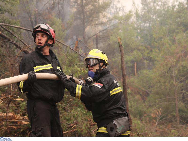 Συγκινητική η αλληλεγγύη εκατοντάδων φοιτητών στους πυρόπληκτους